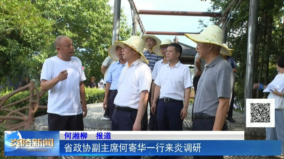 省政協(xié)副主席何寄華一行來炎調(diào)研