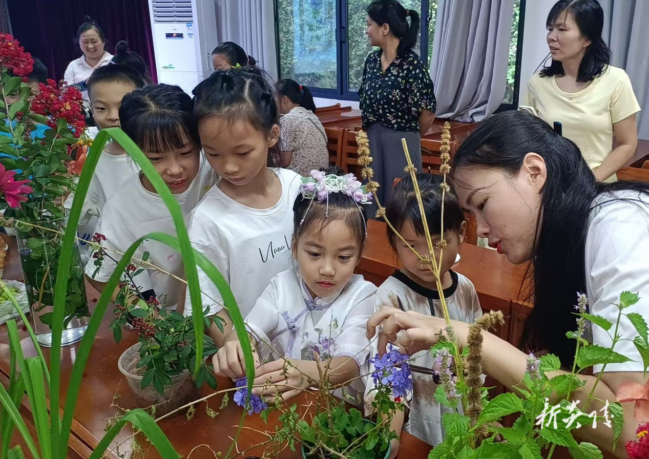 探秘神农百草传奇 巧手传承医药文明