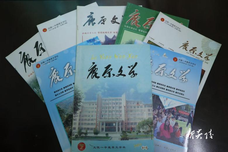 墨香筑梦，青春执笔——湖南师范大学“三下乡”实践团赴炎陵县探寻特色校园文化
