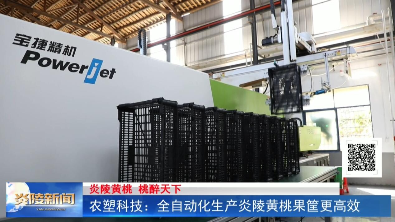 农塑科技：全自动化生产炎陵黄桃果筐更高效