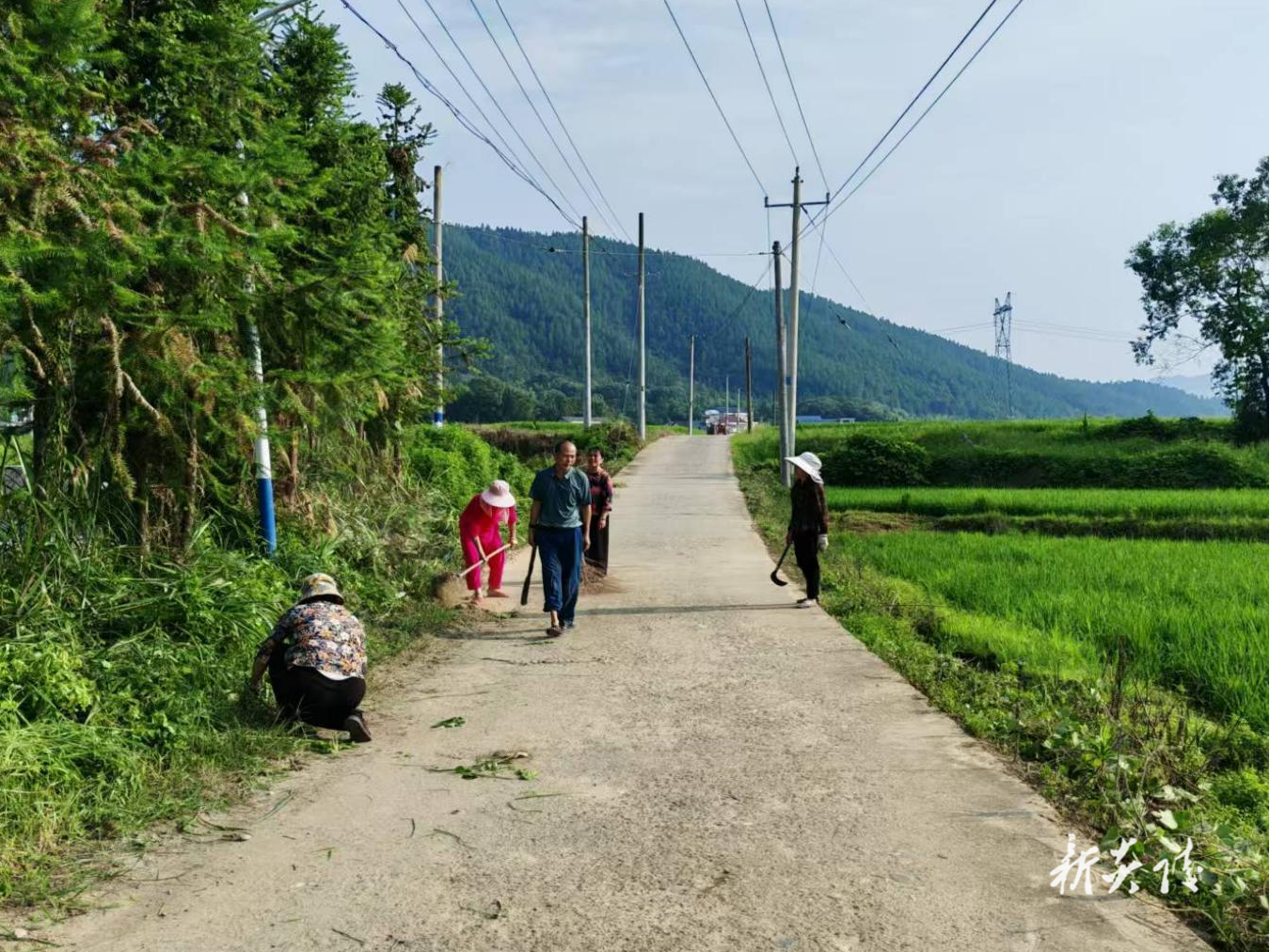 炎陵县鹿原镇：道路卫生大清洁 村容村貌焕新颜