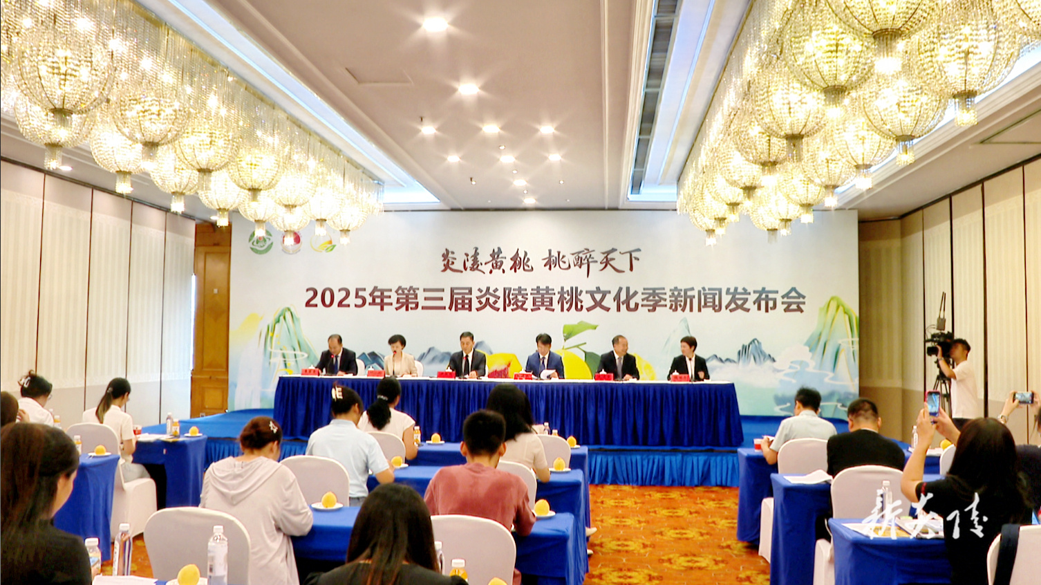 ​第三届炎陵黄桃文化季新闻发布会召开