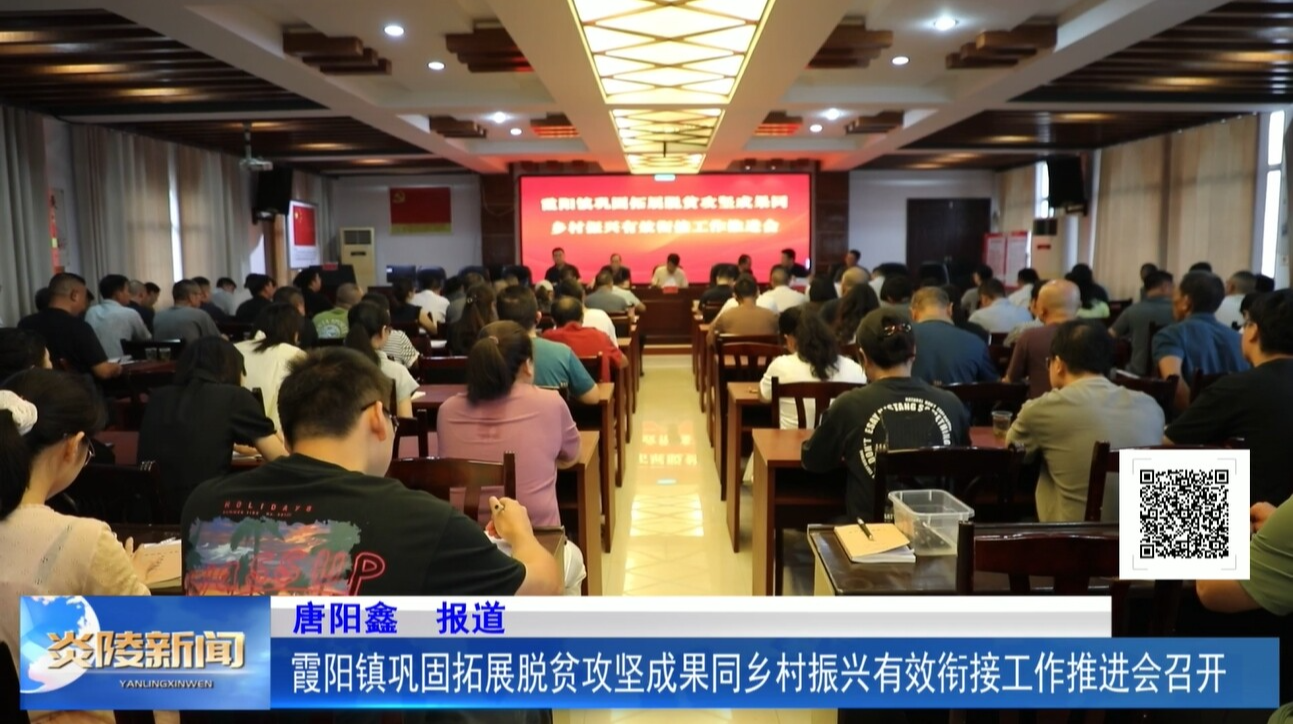 霞阳镇巩固拓展脱贫攻坚成果同乡村振兴有效衔接工作推进会召开