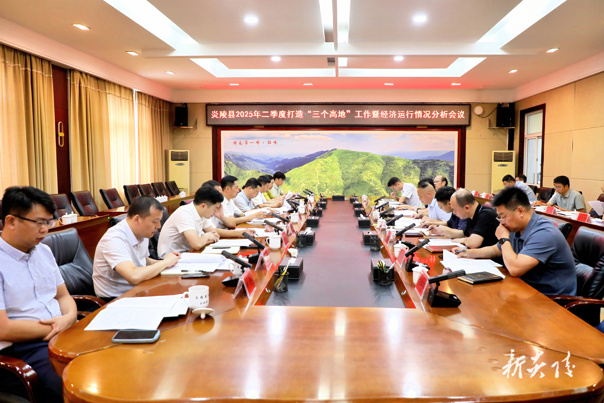 图文丨炎陵县2025年二季度打造“三个高地”工作暨经济运行情况分析会召开