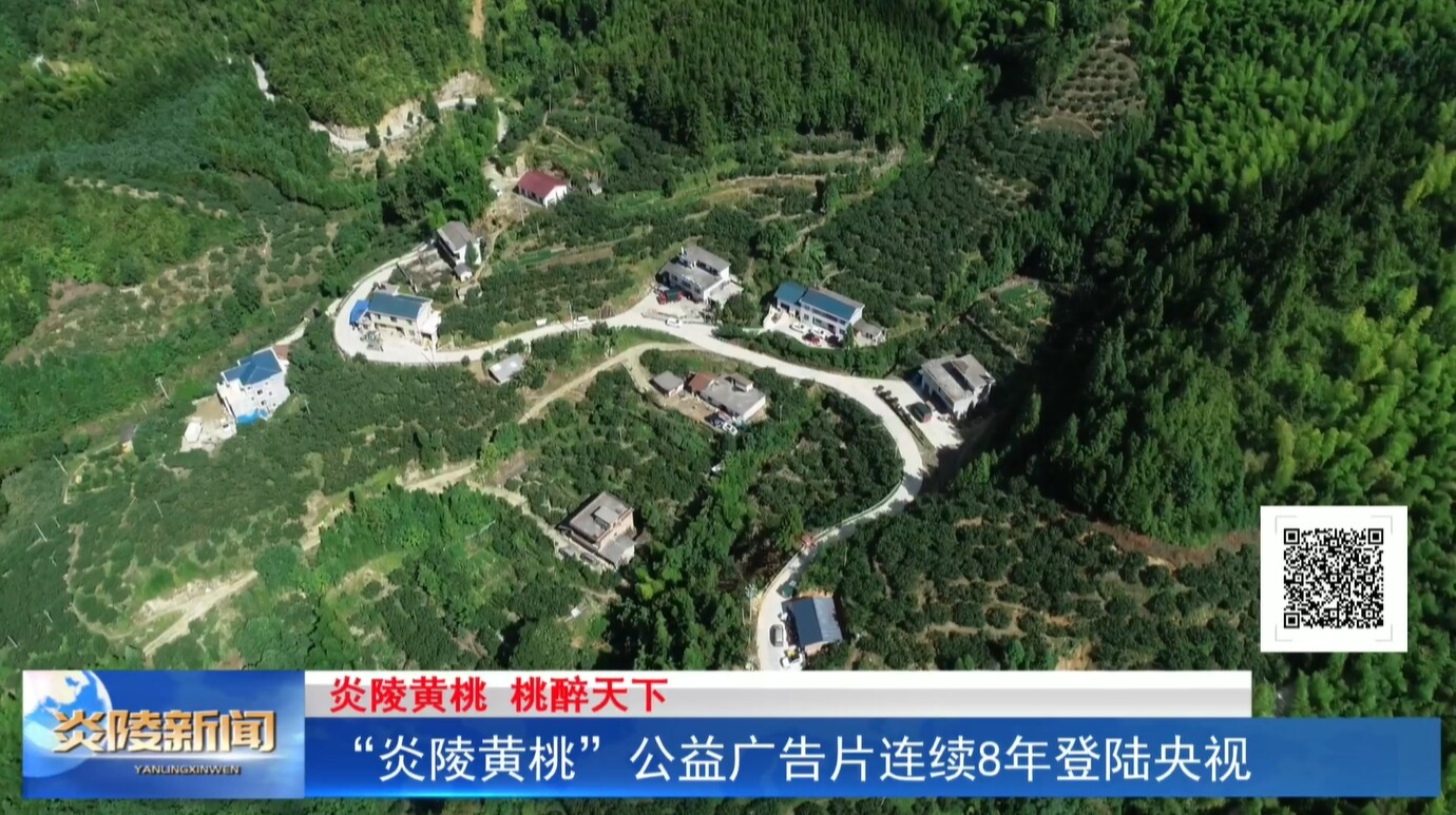 “炎陵黃桃”公益廣告片連續(xù)8年登陸央視