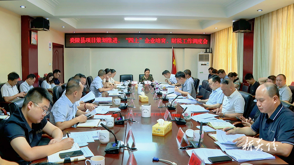 ​ ​ 图文丨炎陵县项目策划推进、“四上”企业培育、财税  工作调度会召开