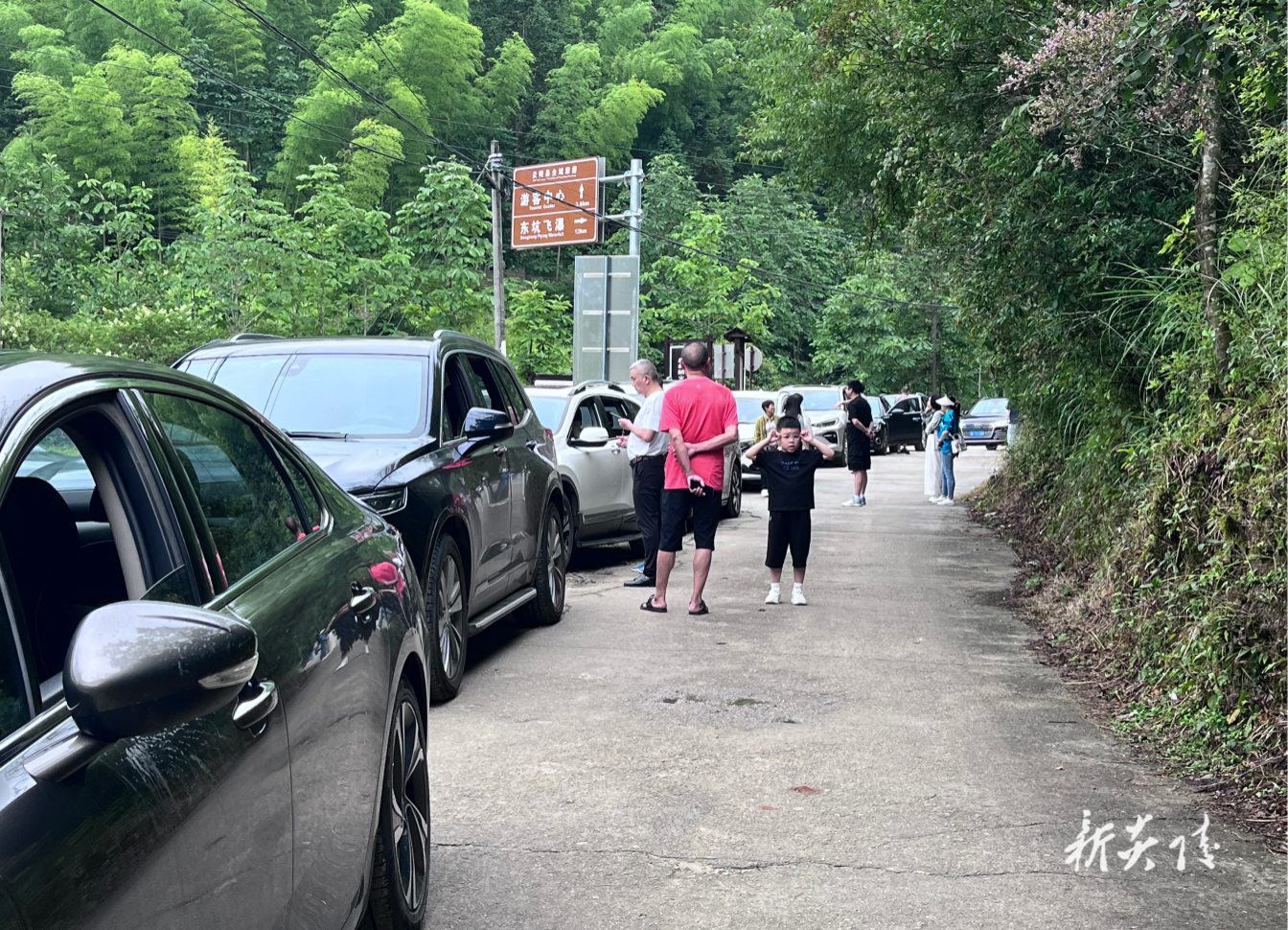 炎陵县大院农（林）场：避暑旅游迎高峰 交通疏导保畅通