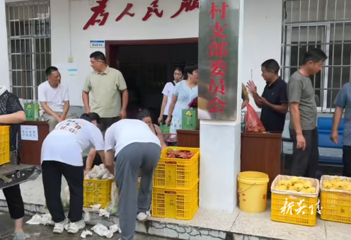 中国人寿炎陵支公司：以行动暖农心 助炎陵黄桃“桃”出好前程