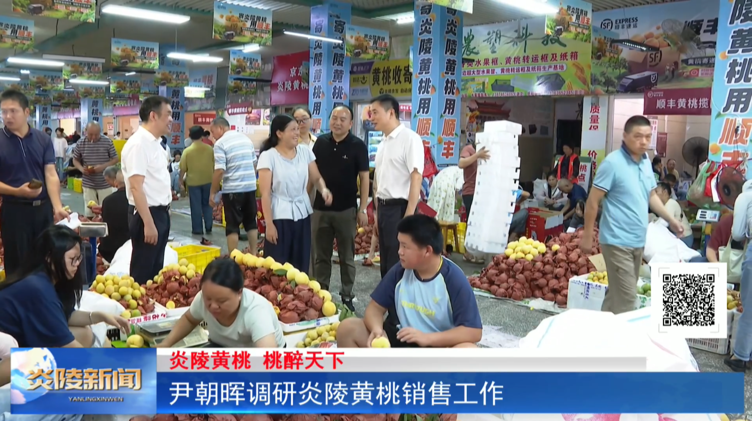 尹朝晖调研炎陵黄桃销售工作