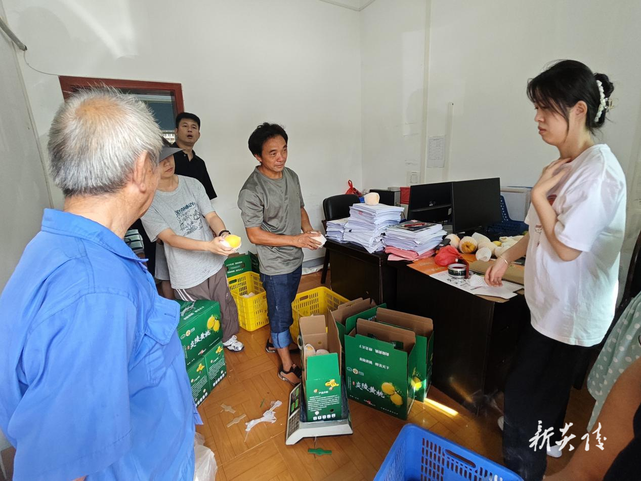 炎陵县船形乡：以消费帮扶助力桃农增收