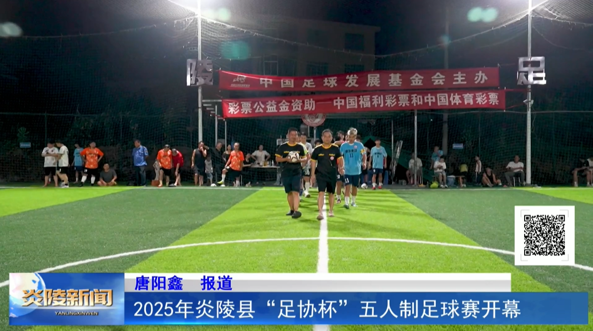 2025年炎陵縣“足協(xié)杯”五人制足球賽開(kāi)幕