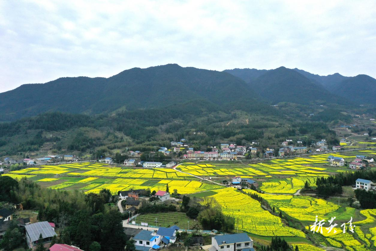 炎陵县中村瑶族乡梅岗村入选2025年度省级美丽乡村重点建设村名单