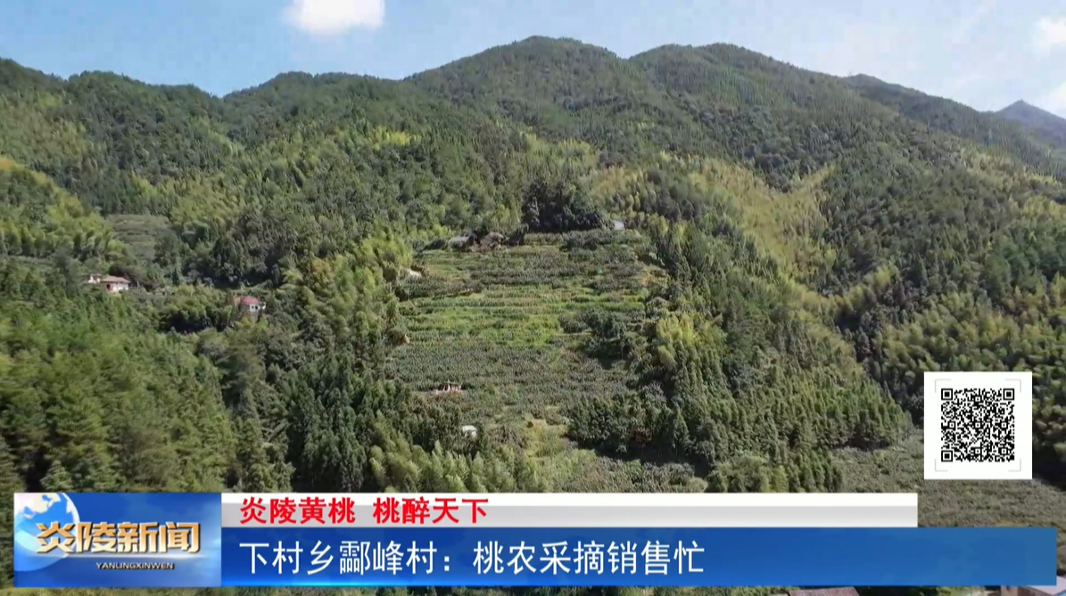 下村鄉(xiāng)酃峰村: 桃農(nóng)采摘銷售忙