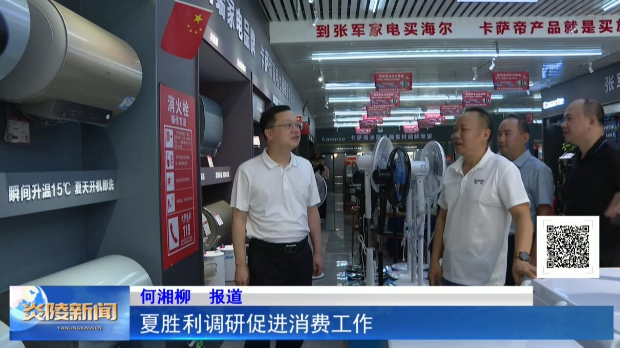 夏勝利調(diào)研促進(jìn)消費工作