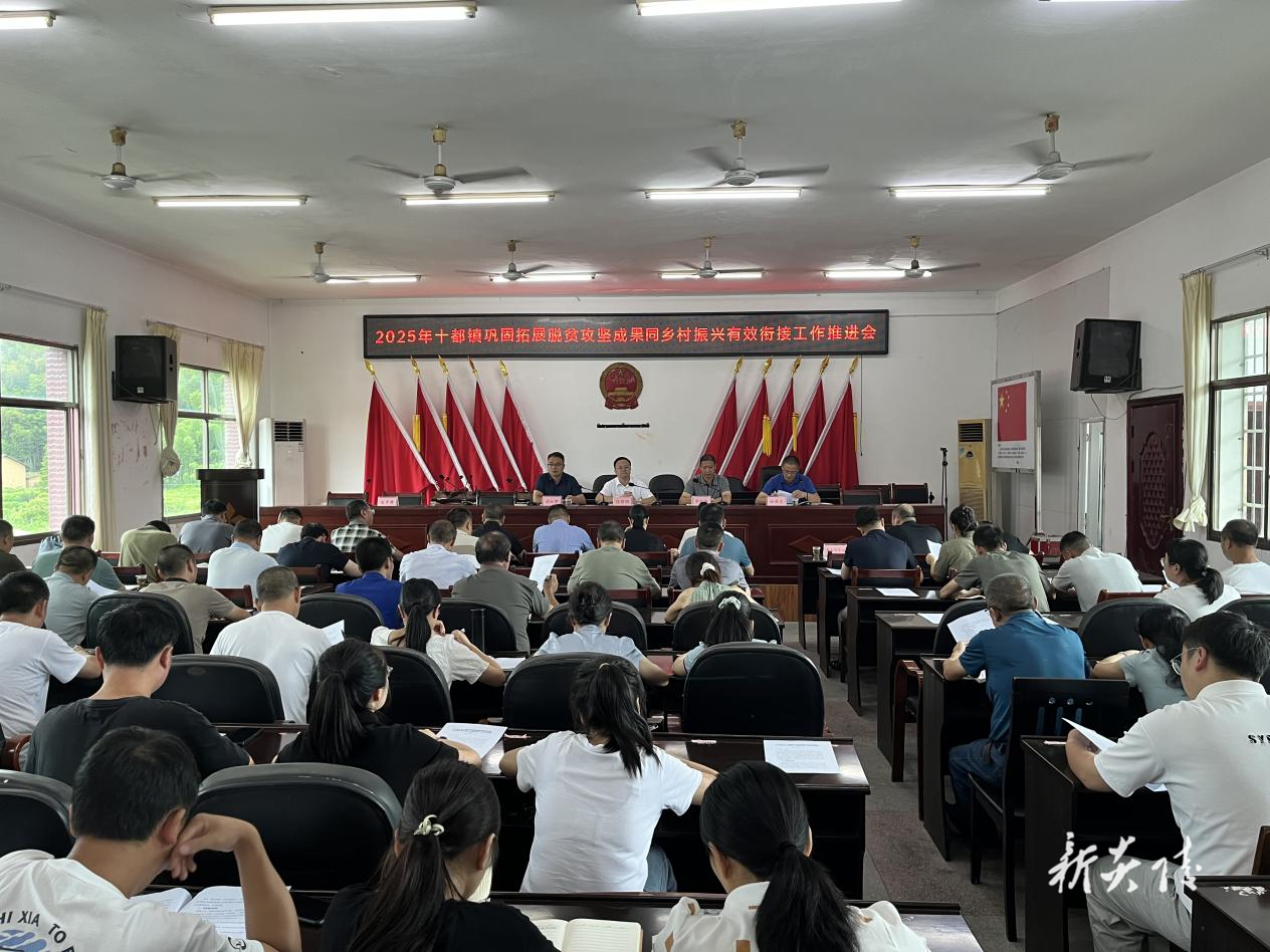炎陵县十都镇召开巩固拓展脱贫攻坚成果同乡村振兴有效衔接工作推进会