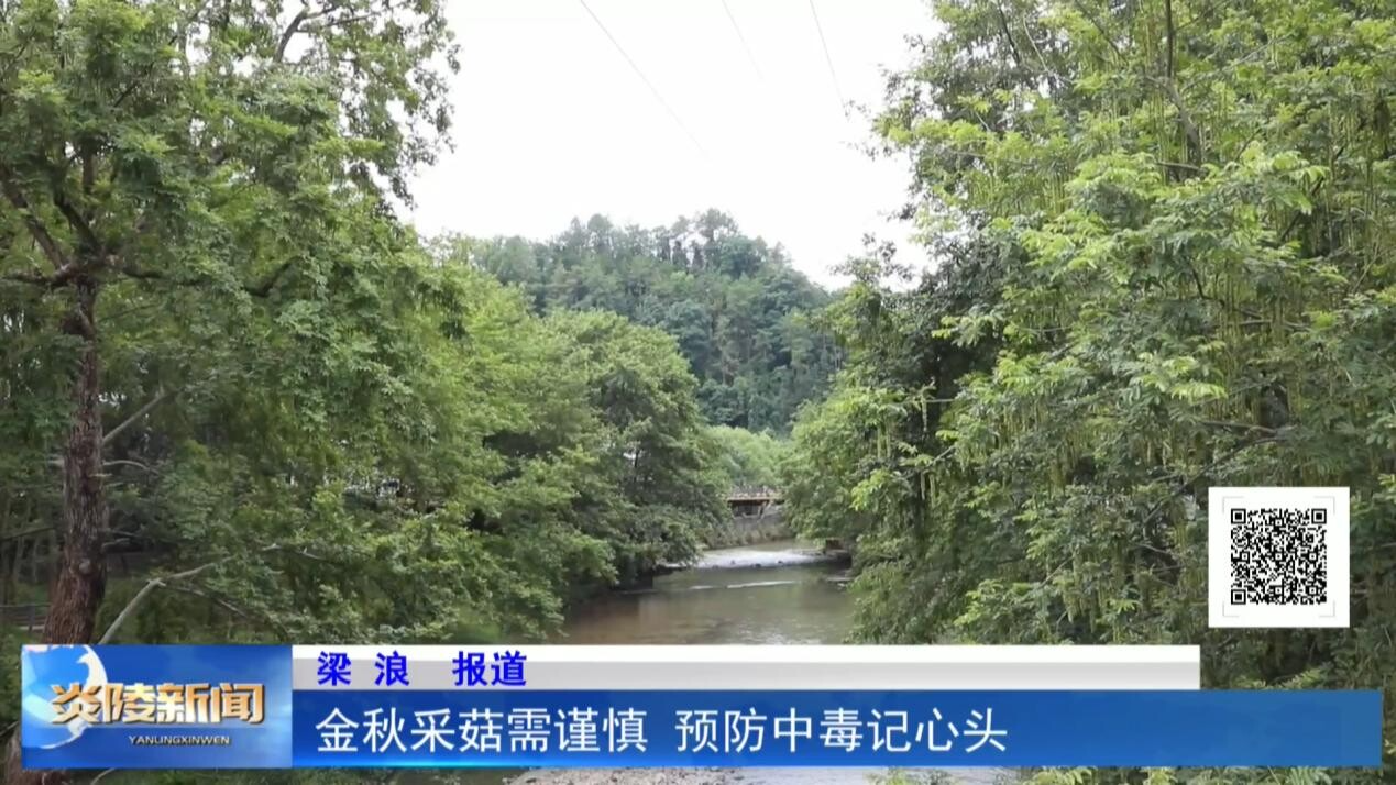 金秋采菇需謹(jǐn)慎 預(yù)防中毒記心頭