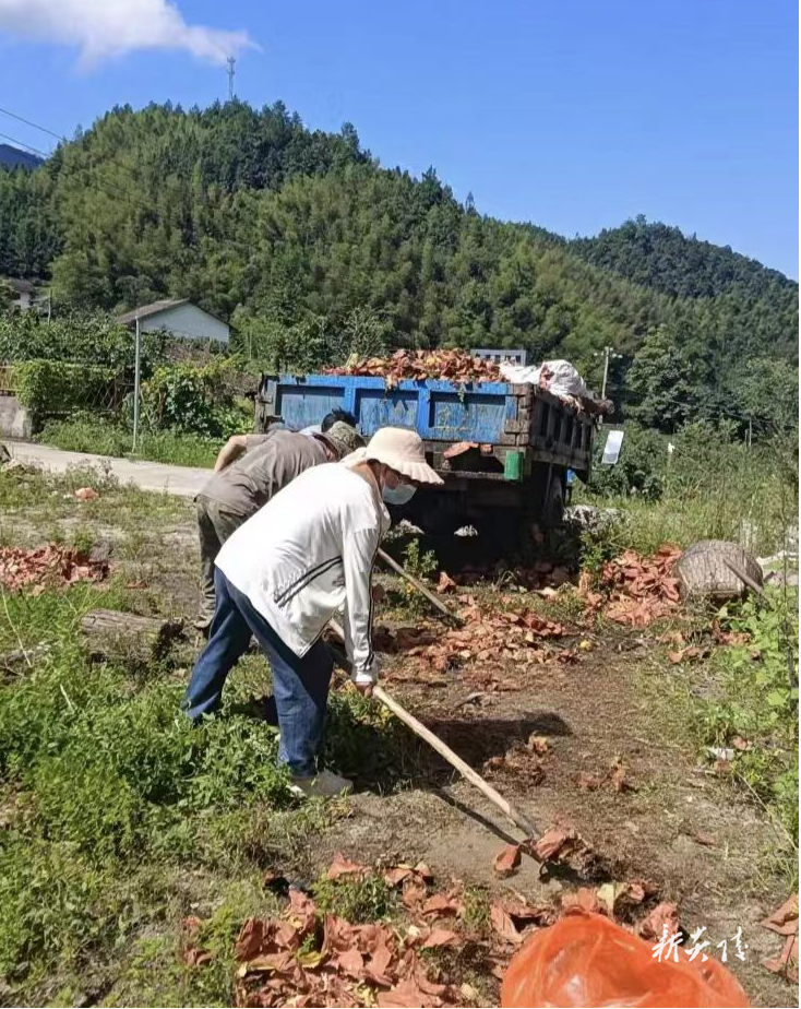 炎陵县策源乡：黄桃季收官不“收尾” 洁净乡村守护不停歇