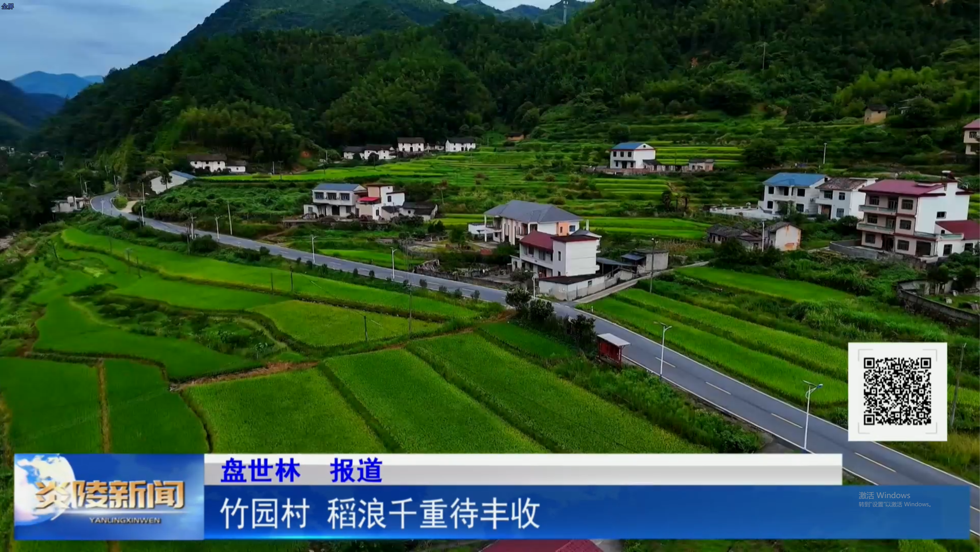 竹園村 稻浪千重待豐收