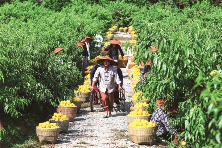 山中炎陵 物阜民丰