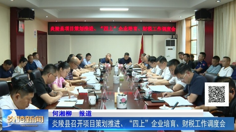 炎陵县召开项目策划推进、“四上”企业培育、财税工作调度会