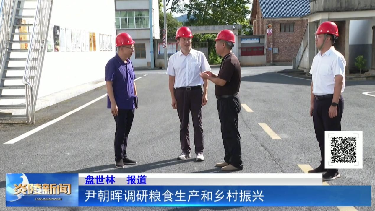 尹朝晖调研粮食生产和乡村振兴