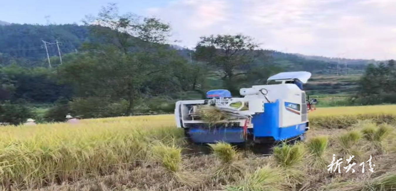 炎陵水口：“秸秆生金”助力生态环境改善