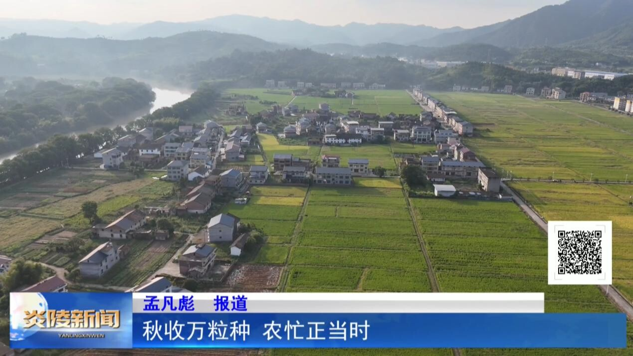 秋收万粒种 农忙正当时