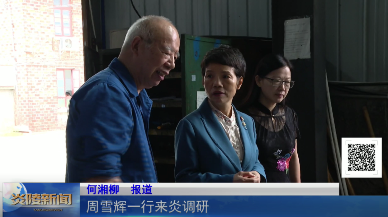 周雪辉一行来炎调研