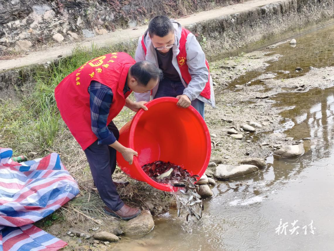 炎陵县中村瑶族乡联合县农业农村局开展增殖放流鱼苗活动