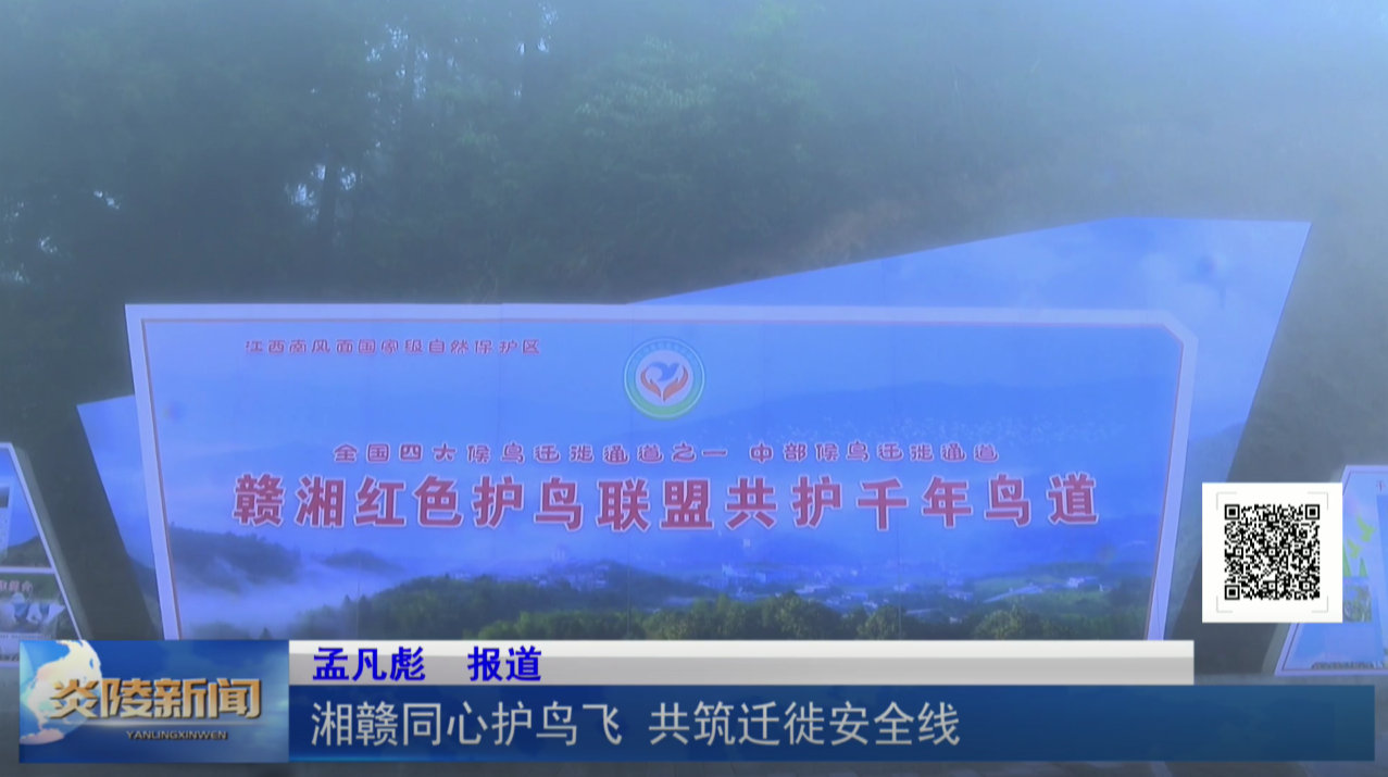 湘赣同心护鸟飞 共筑迁徙安全线