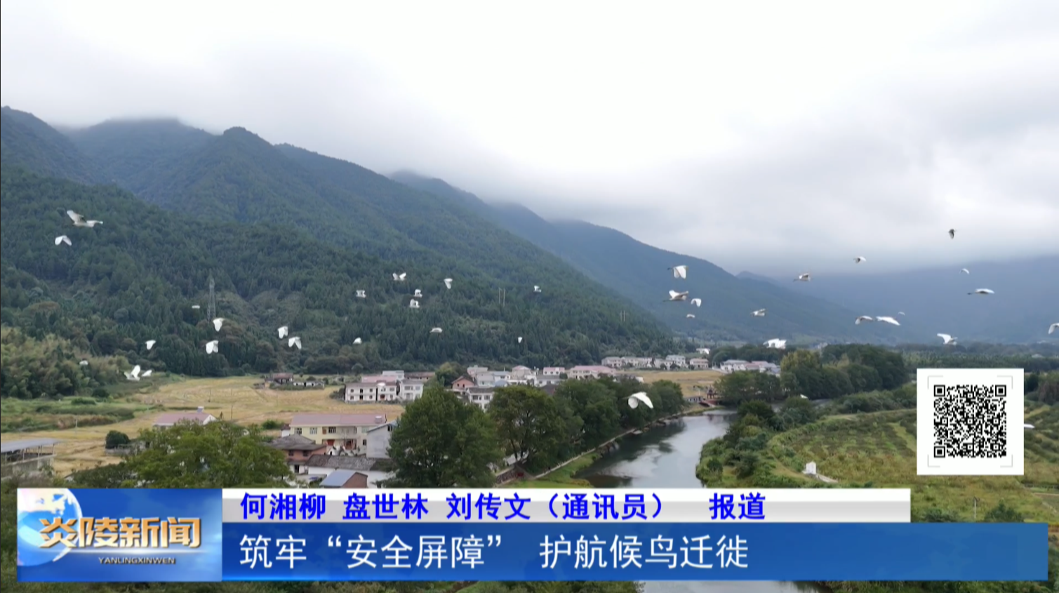 筑牢“安全屏障”护航候鸟迁徙