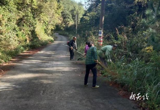 炎陵县策源乡开展酃峰清洁工作 共护绿水青山