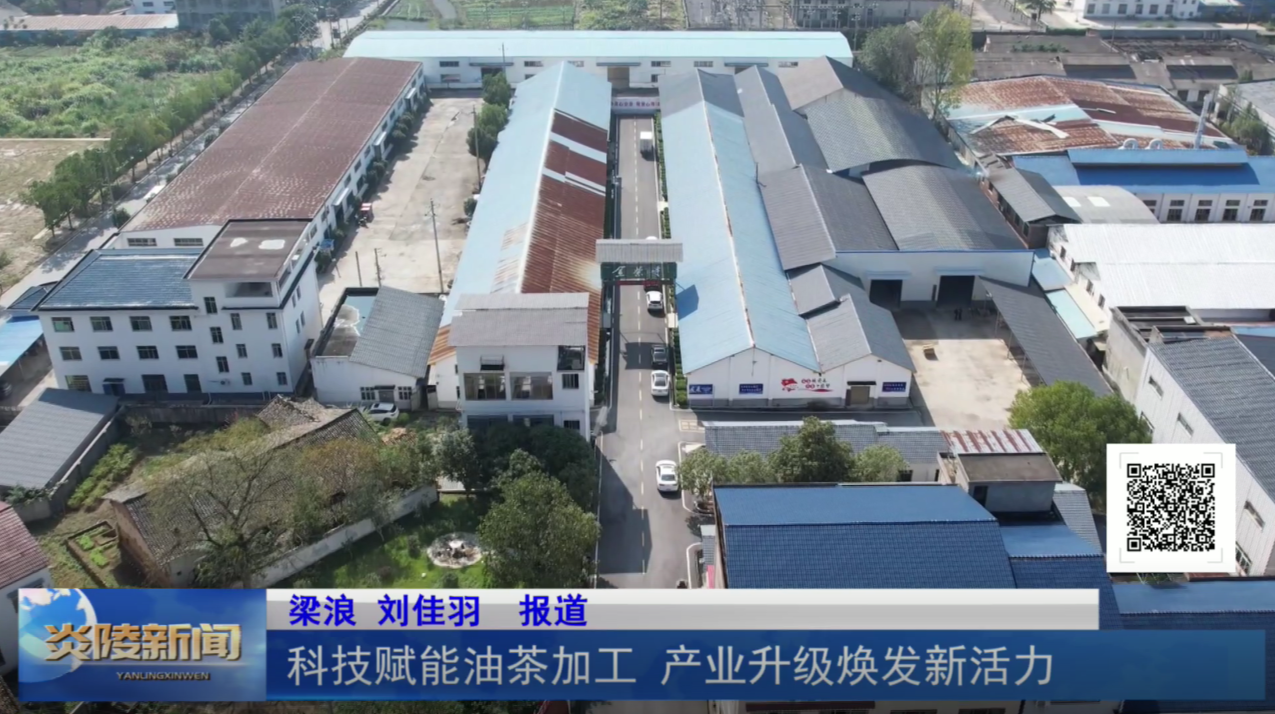 科技赋能油茶加工 产业升级焕发新活力