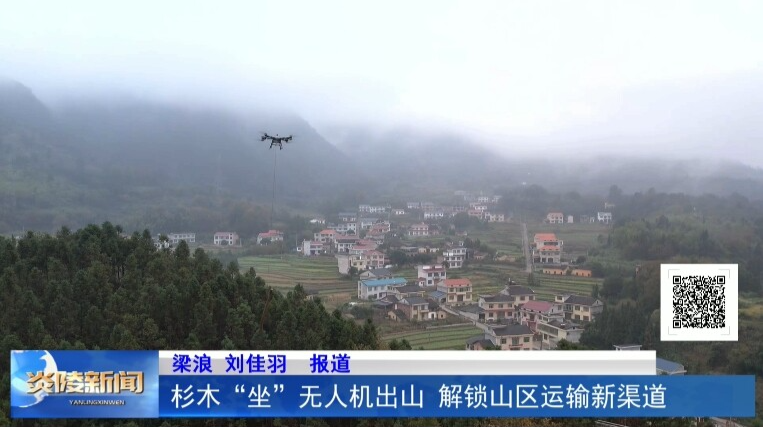 杉木“坐”无人机出山 解锁山区运输新渠道