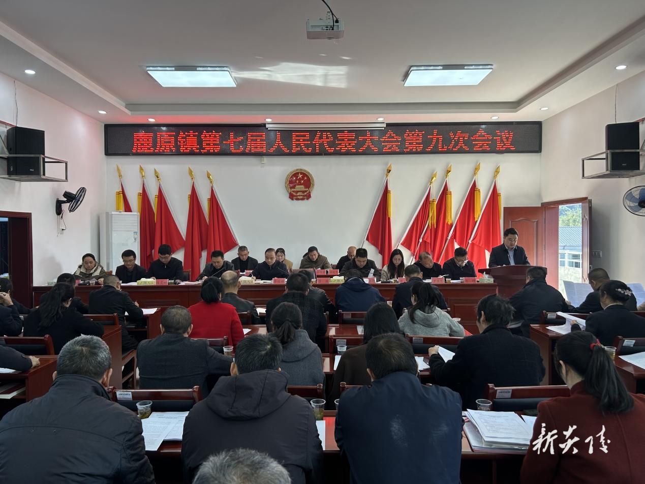 炎陵县鹿原镇：召开第七届人民代表大会第九次会议