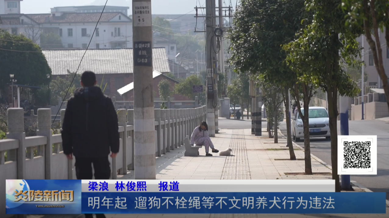 明年起 遛狗不栓绳等不文明养犬行为违法