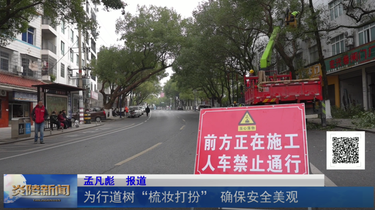 为行道树“梳妆打扮” 确保安全美观