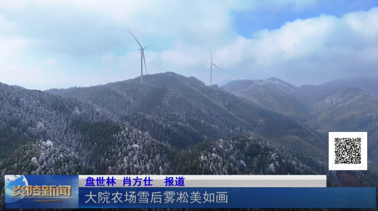 大院农场雪后雾凇美如画