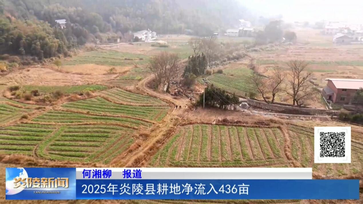 2025年炎陵县耕地净流入436亩
