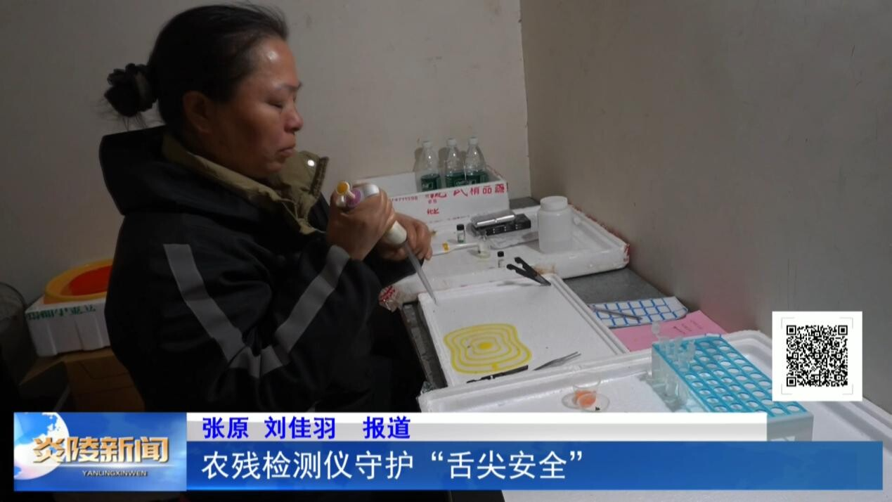 农残检测仪守护“舌尖安全”