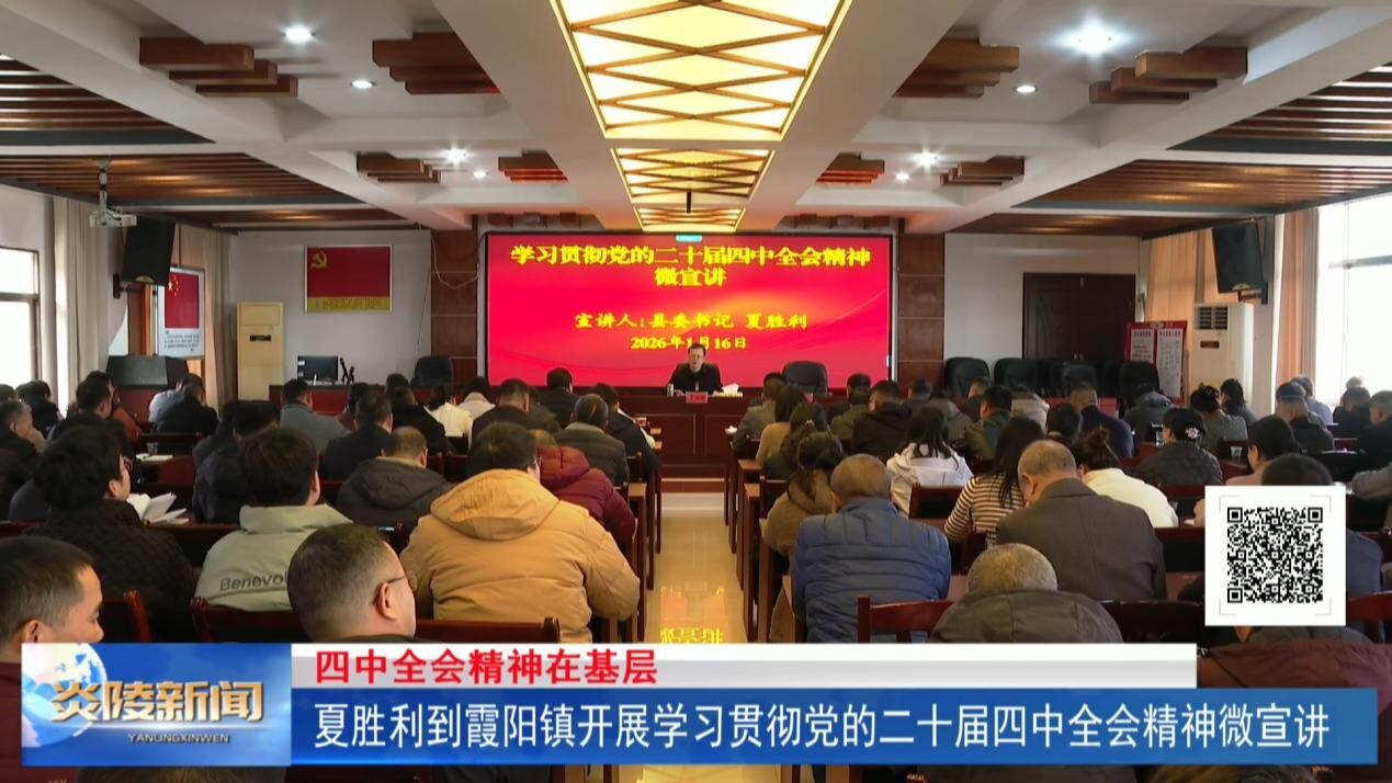 夏胜利到霞阳镇开展学习贯彻党的二十届四中全会精神微宣讲