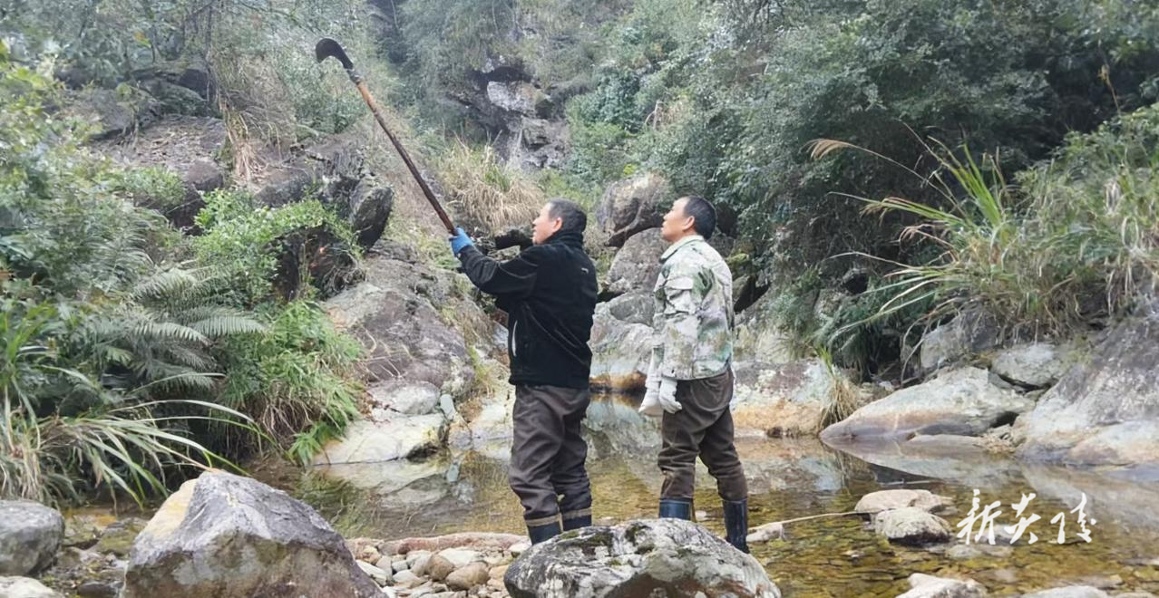 炎陵县水口镇：上山寻水源 引水保民生