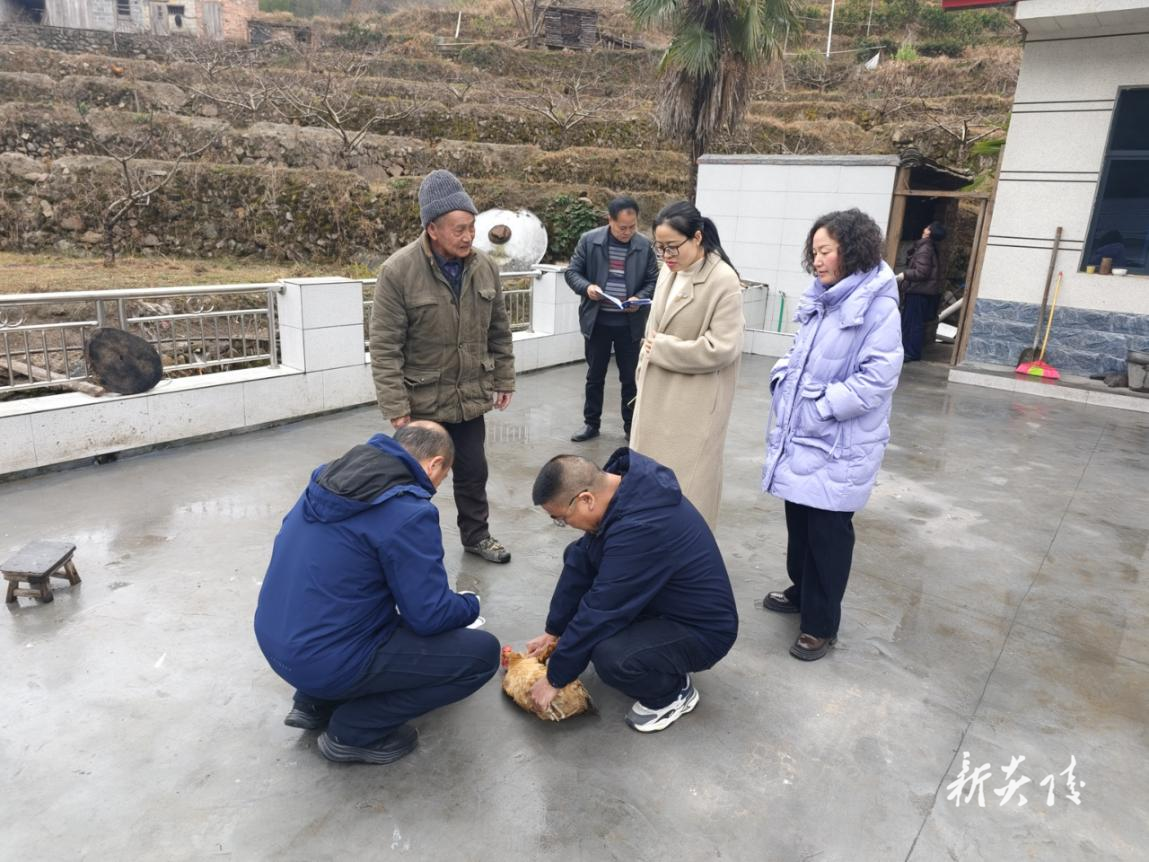 炎陵县策源乡开展秋季动物防疫验收工作