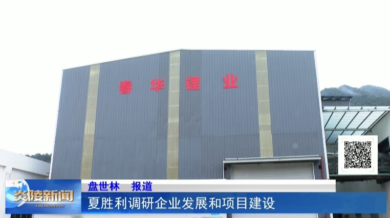 夏胜利调研企业发展和项目建设