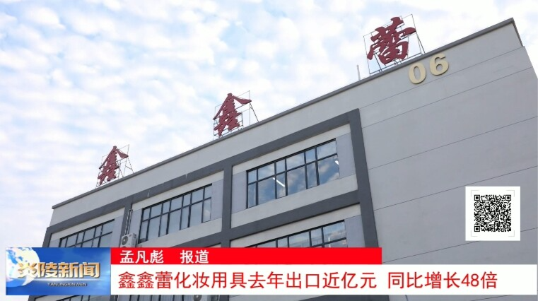 鑫鑫蕾化妆用具去年出口近亿元 同比增长48倍