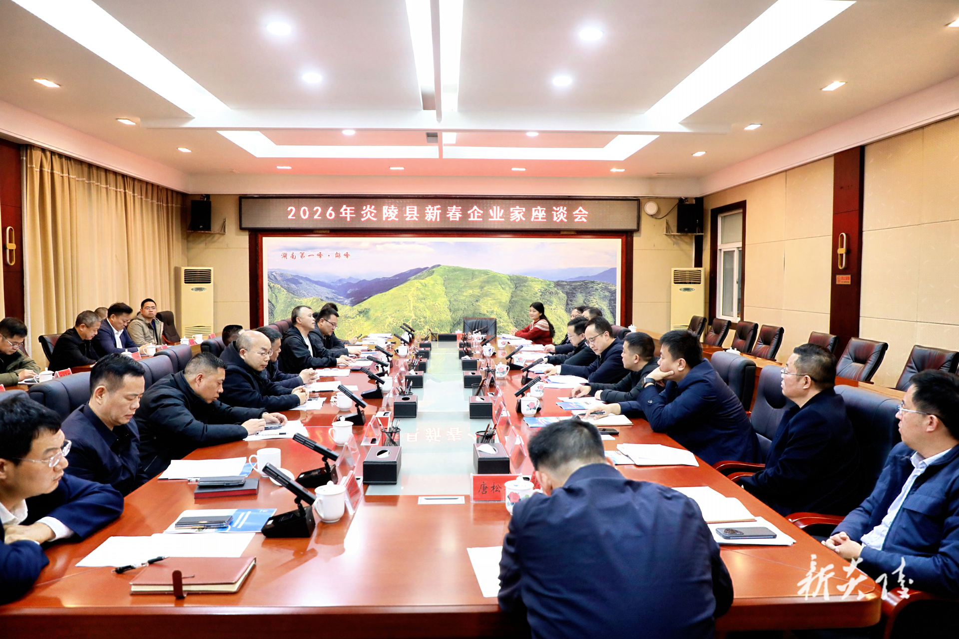 ​图文丨2026年炎陵县新春企业家座谈会召开
