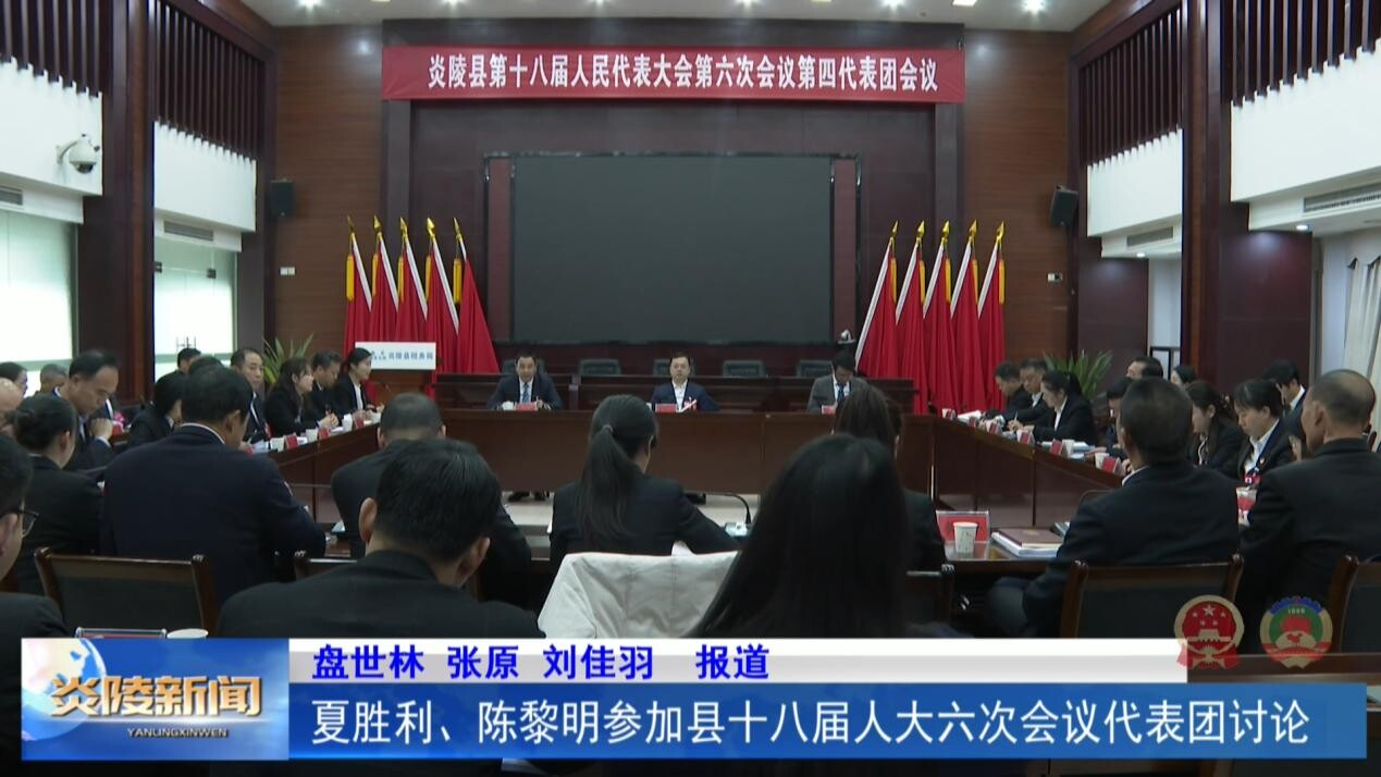夏胜利、陈黎明参加县十八届人大六次会议代表团讨论