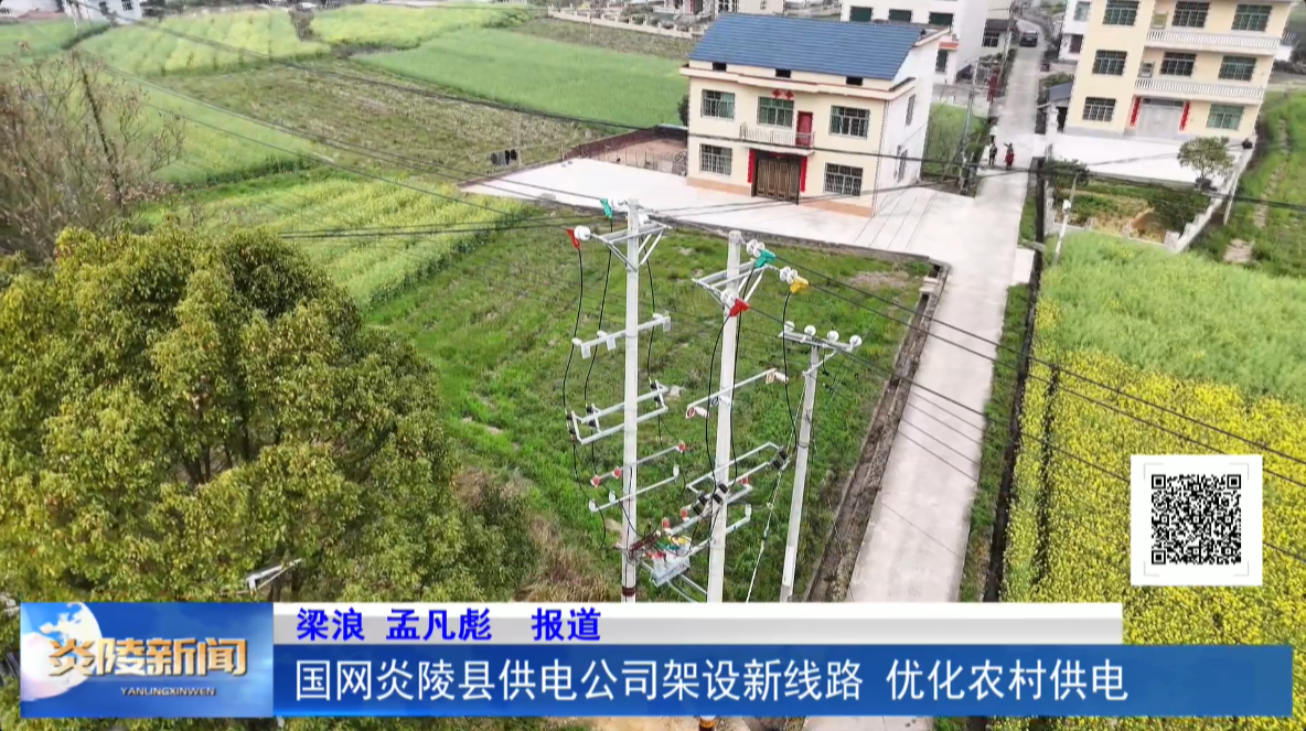 国网炎陵县供电公司架设新线路 优化农村供电