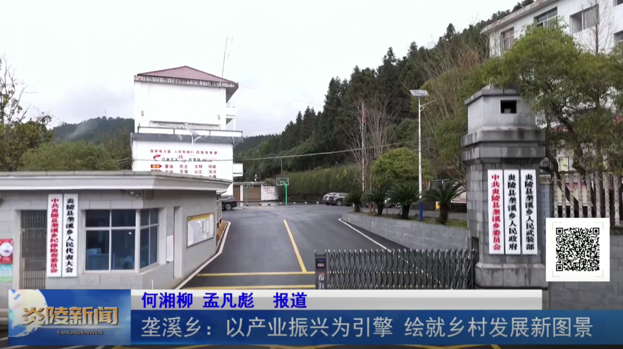 垄溪乡：以产业振兴为引擎 绘就乡村发展新图景