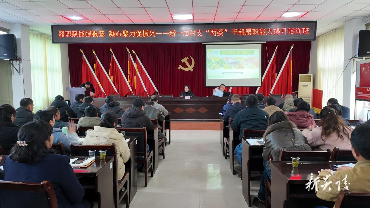 炎陵县下村乡：履职赋能强根基 凝心聚力促振兴